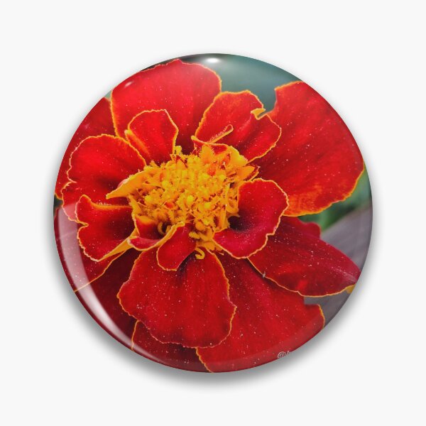Artikelvorschau, Rote orange Blume! entworfen und verkauft von DancingCreek.