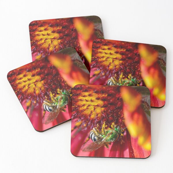 Item preview, Pollinator designed and sold by Greg Birkett.