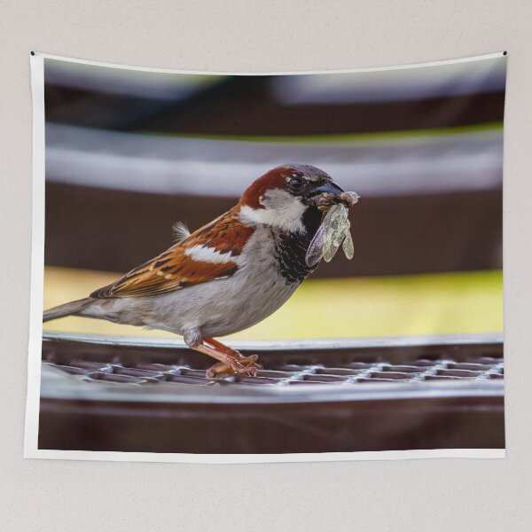 Item preview, House Sparrow with a dragonfly for lunch designed and sold by Split2ndPhotos.