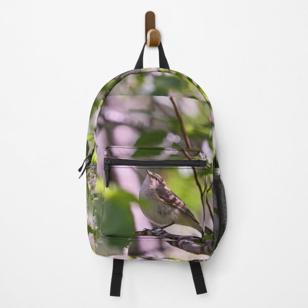 Item preview, Look up. Willow Warbler designed and sold by Jouko Lehto Photography.