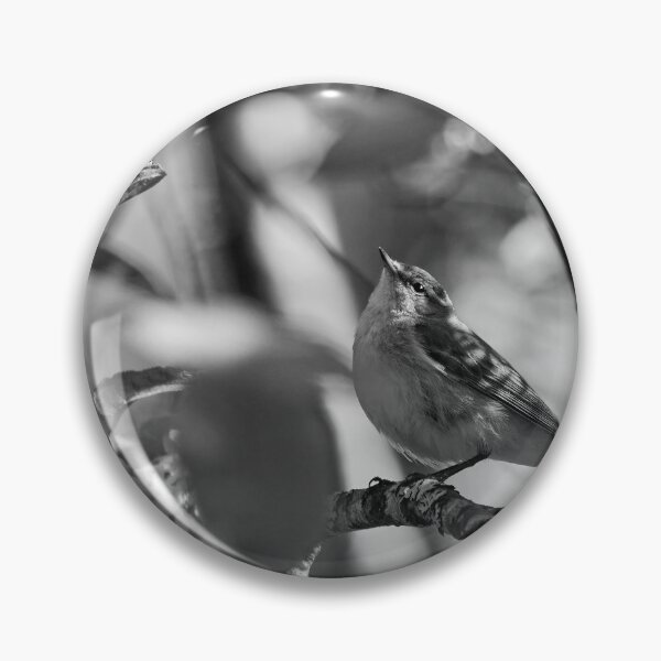 Item preview, Look up. Willow Warbler bw designed and sold by Jouko Lehto Photography.