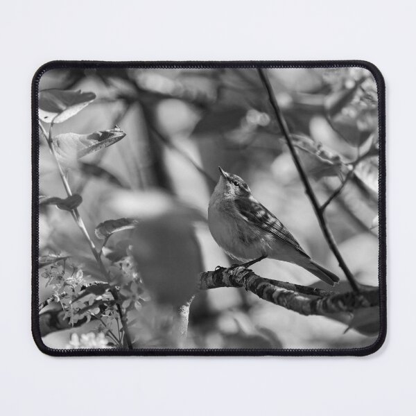 Item preview, Look up. Willow Warbler bw designed and sold by Jouko Lehto Photography.