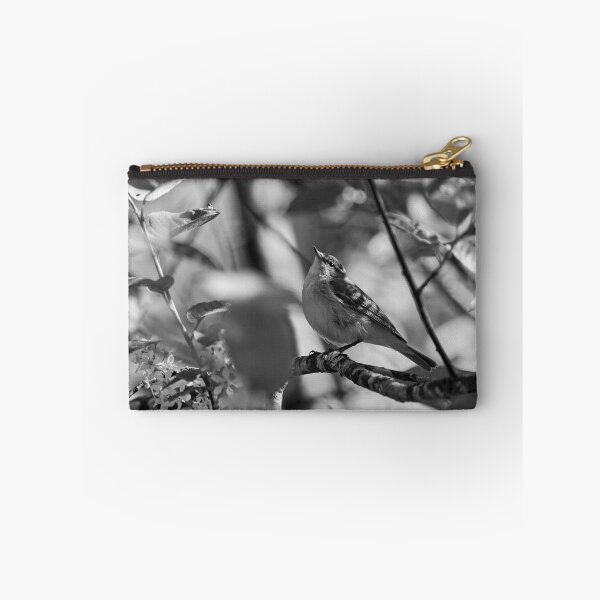 Item preview, Look up. Willow Warbler bw designed and sold by Jouko Lehto Photography.