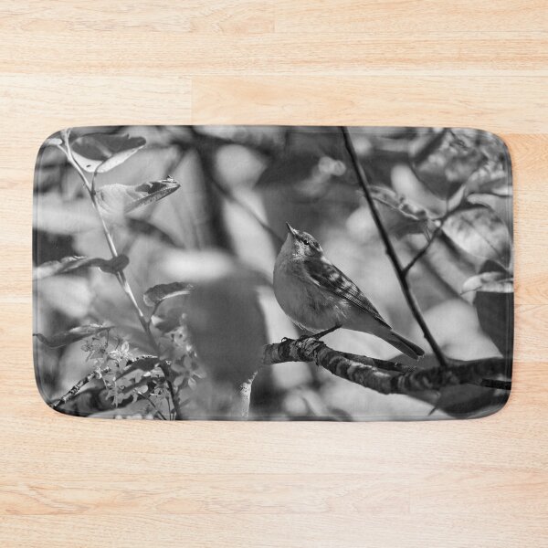 Item preview, Look up. Willow Warbler bw designed and sold by Jouko Lehto Photography.