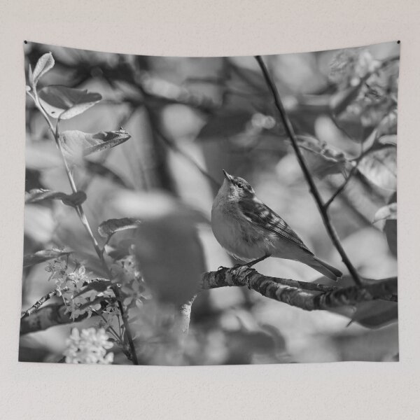 Item preview, Look up. Willow Warbler bw designed and sold by Jouko Lehto Photography.