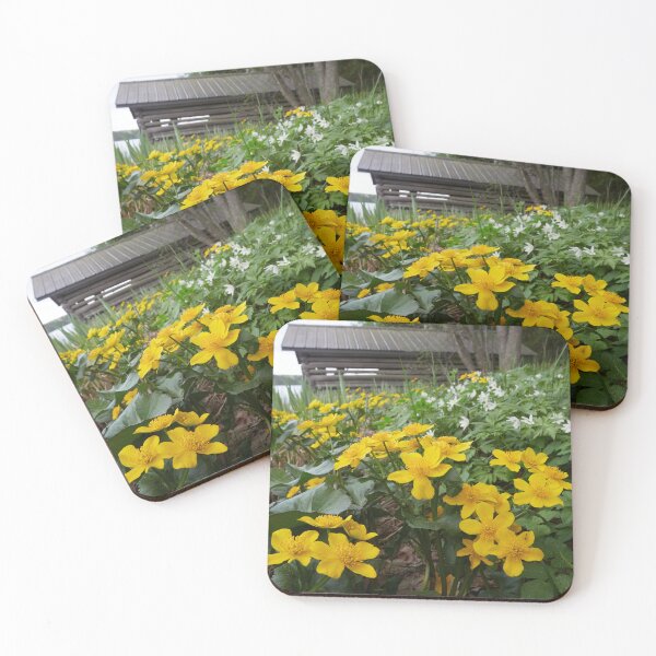 Item preview, Springviews around the boathouse designed and sold by Jouko Lehto Photography.
