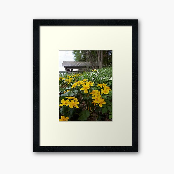 Item preview, Springviews around the boathouse designed and sold by Jouko Lehto Photography.