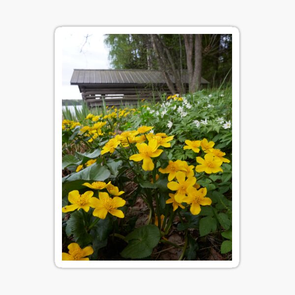 Item preview, Springviews around the boathouse designed and sold by Jouko Lehto Photography.