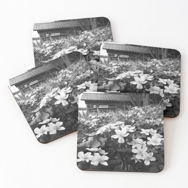 Item preview, Springviews around the boathouse bw designed and sold by Jouko Lehto Photography.