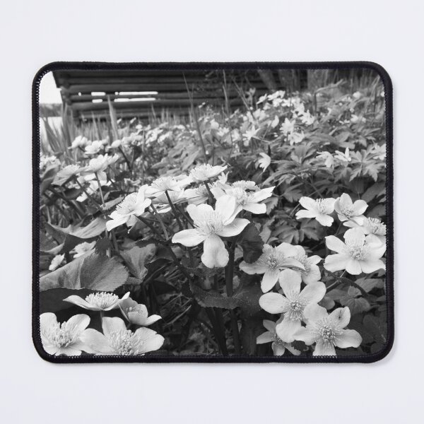 Item preview, Springviews around the boathouse bw designed and sold by Jouko Lehto Photography.