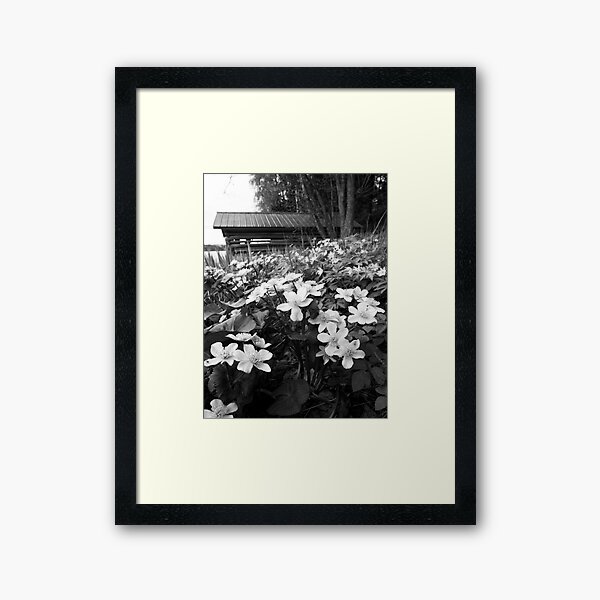 Item preview, Springviews around the boathouse bw designed and sold by Jouko Lehto Photography.