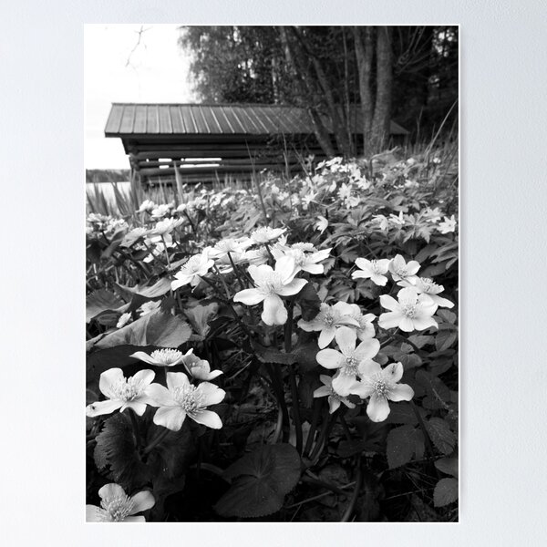 Item preview, Springviews around the boathouse bw designed and sold by Jouko Lehto Photography.