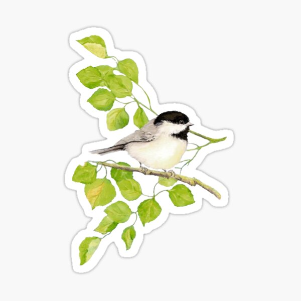 Item preview, Watercolor Chickadee Bird in Poplar Tree designed and sold by countrymouse.