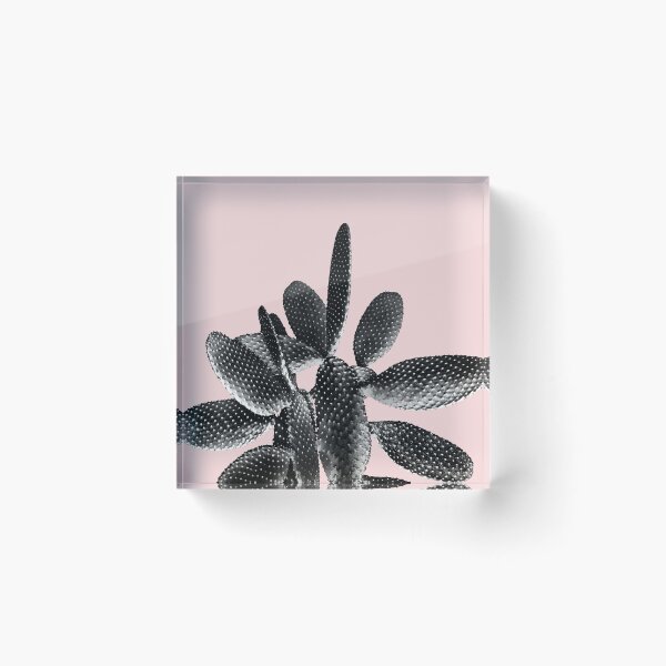 Artikelvorschau, Schwarz-Erröten-Kaktus # 1 #plant #decor #art entworfen und verkauft von Anita's & Bella's Art.