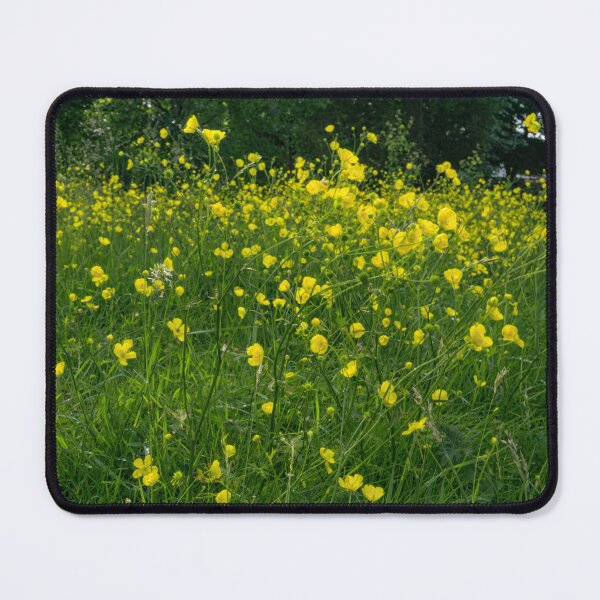Item preview, Buttercups designed and sold by Alisonchambers2.