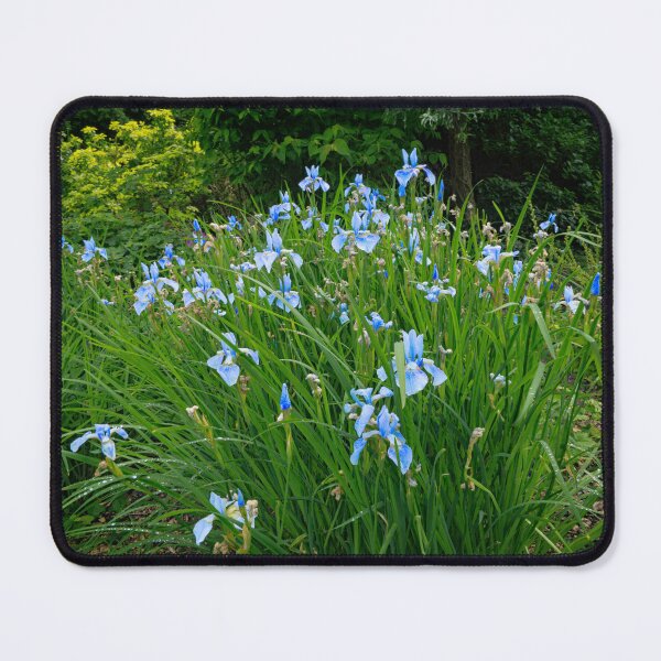 Item preview, Irises designed and sold by Alisonchambers2.