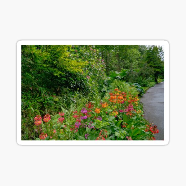 Item preview, Primula bulleyana designed and sold by Alisonchambers2.