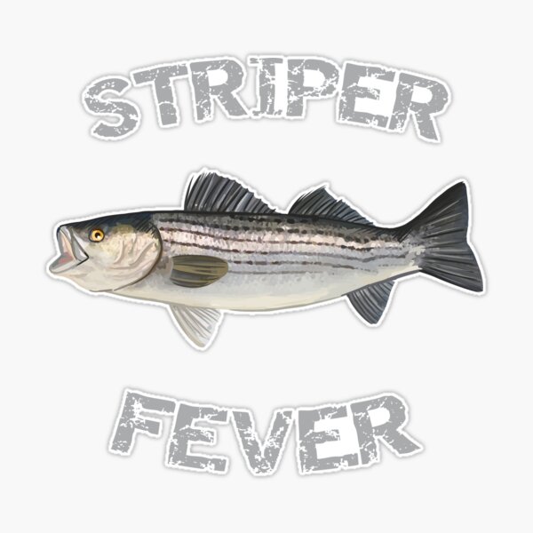 Striped Bass Stickers for Sale - Pixels Merch