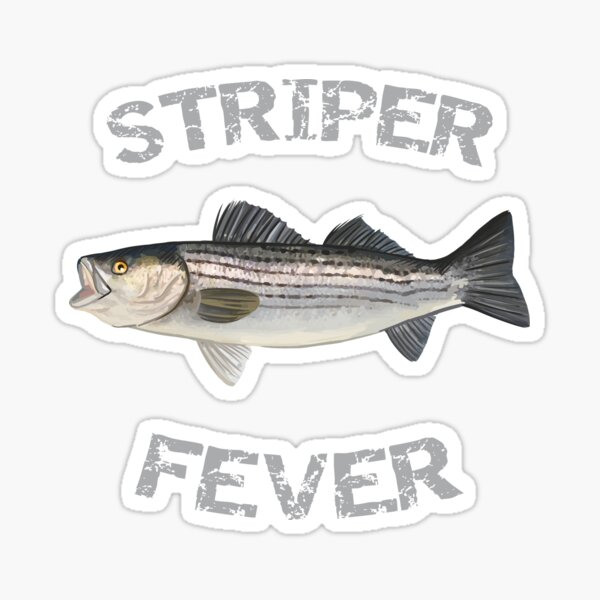 Striped Bass, Striper Sticker for Sale by blueshore