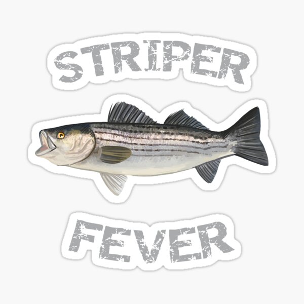 Vista previa del artículo con la obra «Fiebre de Striper | Bajo rayado | Striper», diseñado y vendido por blueshore.