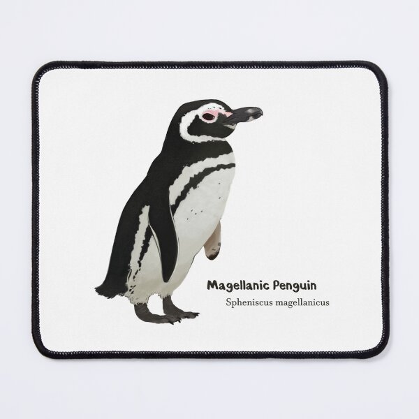 Item preview, Magellanic Penguin designed and sold by LKAgathon.
