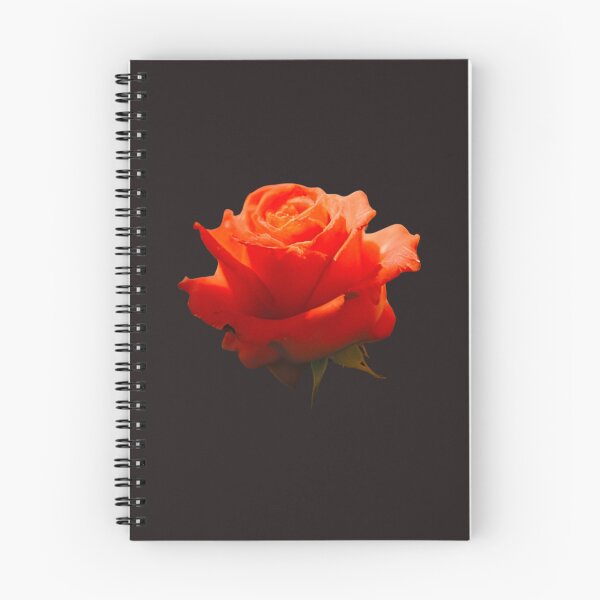 Item preview, Sunny day rose designed and sold by HoodRatSwagger.
