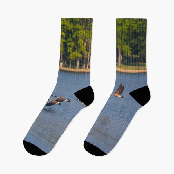 Item preview, Gaggle of Geese in Flight designed and sold by Split2ndPhotos.