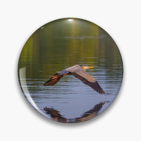 Item preview, Great Blue Heron In Flight designed and sold by Split2ndPhotos.