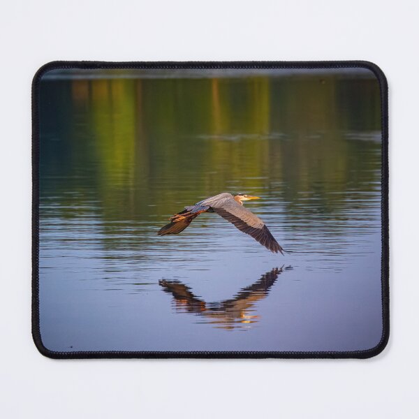 Item preview, Great Blue Heron In Flight designed and sold by Split2ndPhotos.