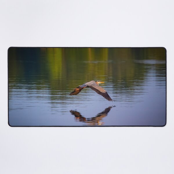 Item preview, Great Blue Heron In Flight designed and sold by Split2ndPhotos.