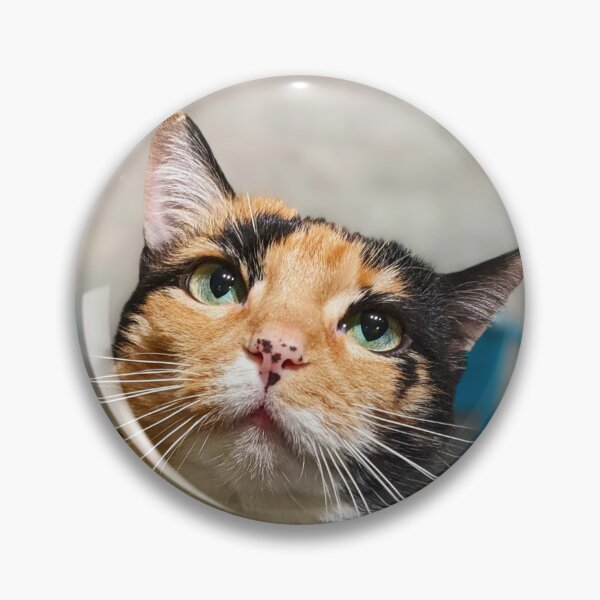 Artikelvorschau, Carina Glamour Shot entworfen und verkauft von CarinaCartel.