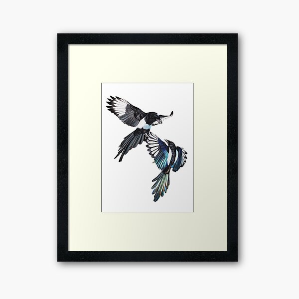 Aperçu de l'œuvre Combat de vol - Magpies in midair créée et vendue par JaraM.