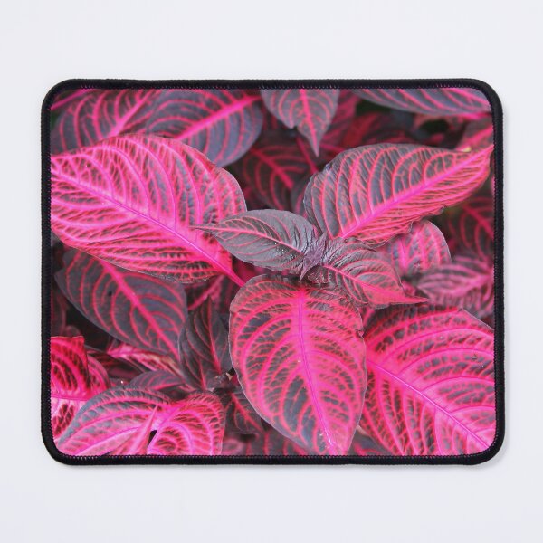 Item preview, Glorious Coleus! designed and sold by heatherfriedman.