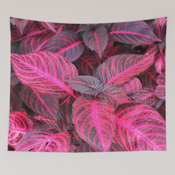 Item preview, Glorious Coleus! designed and sold by heatherfriedman.