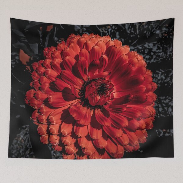 Item preview, Fireball designed and sold by Steve Walser.