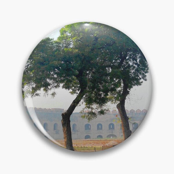 Item preview, Trees at Agra Red Fort designed and sold by Ethna Gillespie.