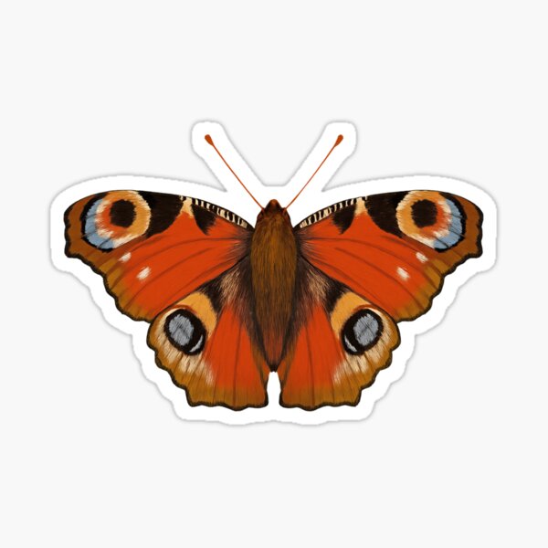 Item preview, Peacock Butterfly Vinyl Sticker – Bright Red and Eye-Spotted Wings designed and sold by Andrea Lauren.