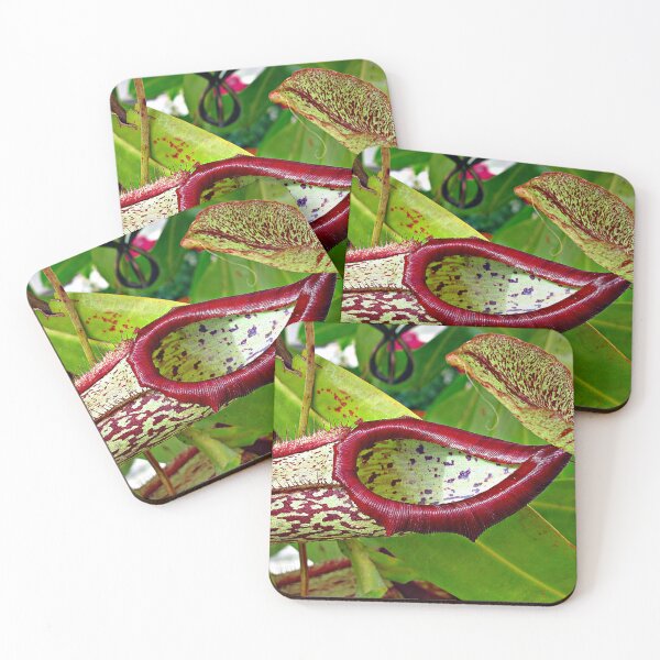 Item preview, Monkey Cup  designed and sold by Ethna Gillespie.