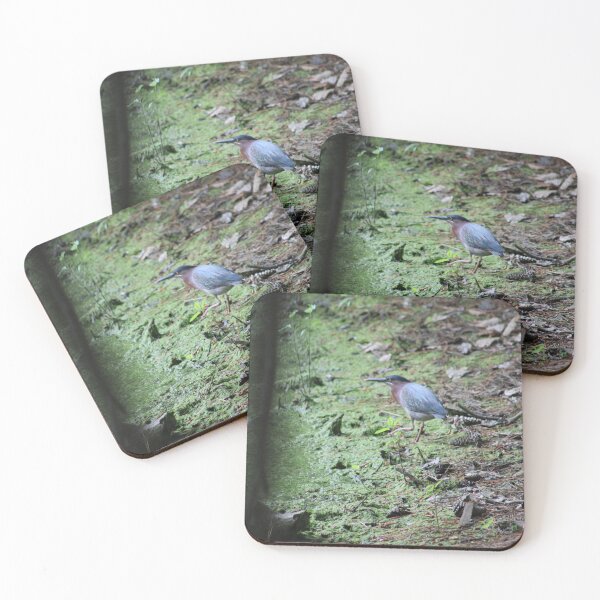 Item preview, Watch Guard Green Heron  designed and sold by CreatiLina.
