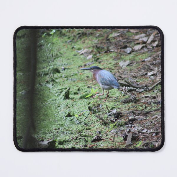 Item preview, Watch Guard Green Heron  designed and sold by CreatiLina.