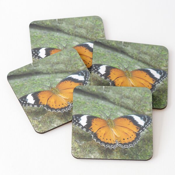Item preview, Orange Lacewing Butterfly designed and sold by Kymbo.