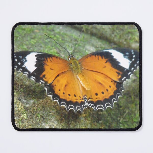 Item preview, Orange Lacewing Butterfly designed and sold by Kymbo.
