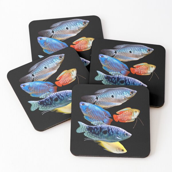 Item preview, Gouramis Blue Gourami Dwarf Gouramis Aquarium Fish Lovers  designed and sold by Aquarium Eclipse.