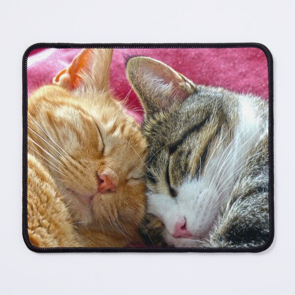 Item preview, Best Buddies designed and sold by Frankie Cat Photography.