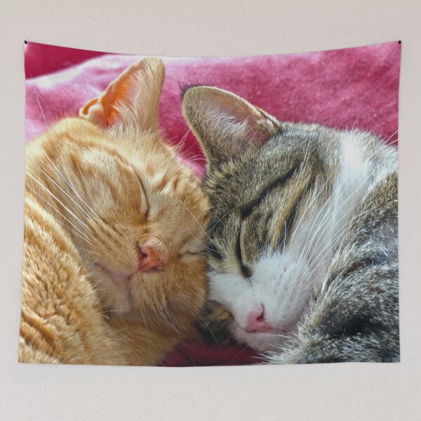 Item preview, Best Buddies designed and sold by Frankie Cat Photography.