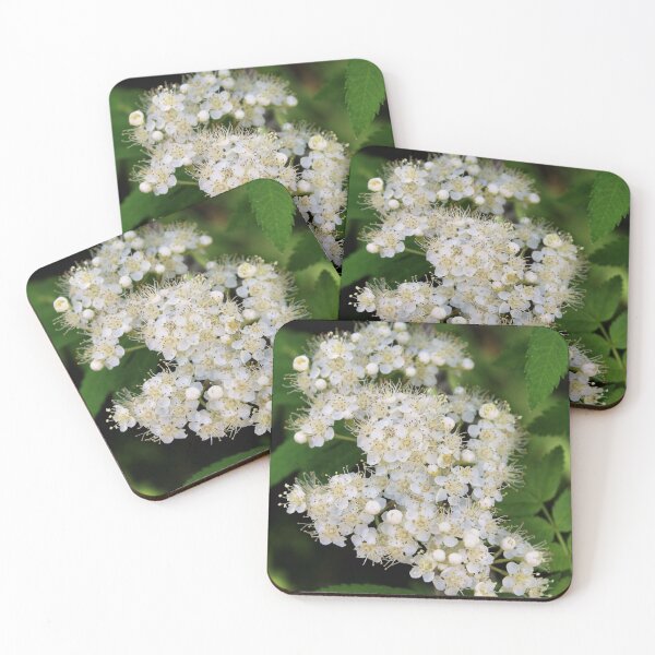 Item preview, blossom designed and sold by KathleenDawson.