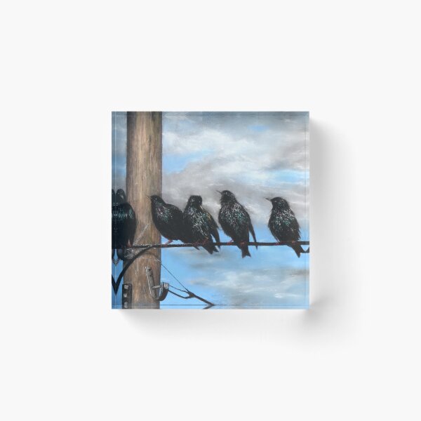 Item preview, Discussing the Next Murmuration designed and sold by Alexandra Lavizzari.