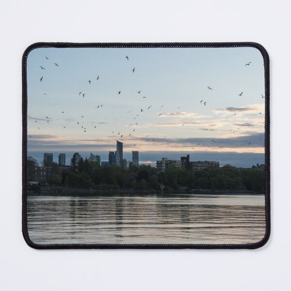 Item preview, Urban Wildlife - West End Toronto Lakeside Living designed and sold by Georgia Mizuleva.