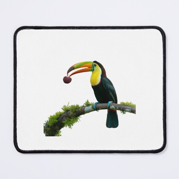 Item preview, A Toucan with a berry.  designed and sold by Joseph Hail.