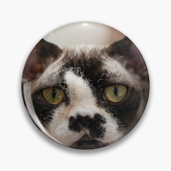 Item preview, Portrait of a cat designed and sold by ART-SUNRISE.